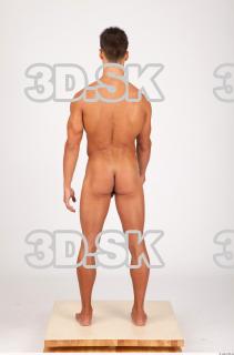 Body texture of Lukas 0033